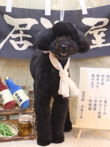 20240630アロちゃん